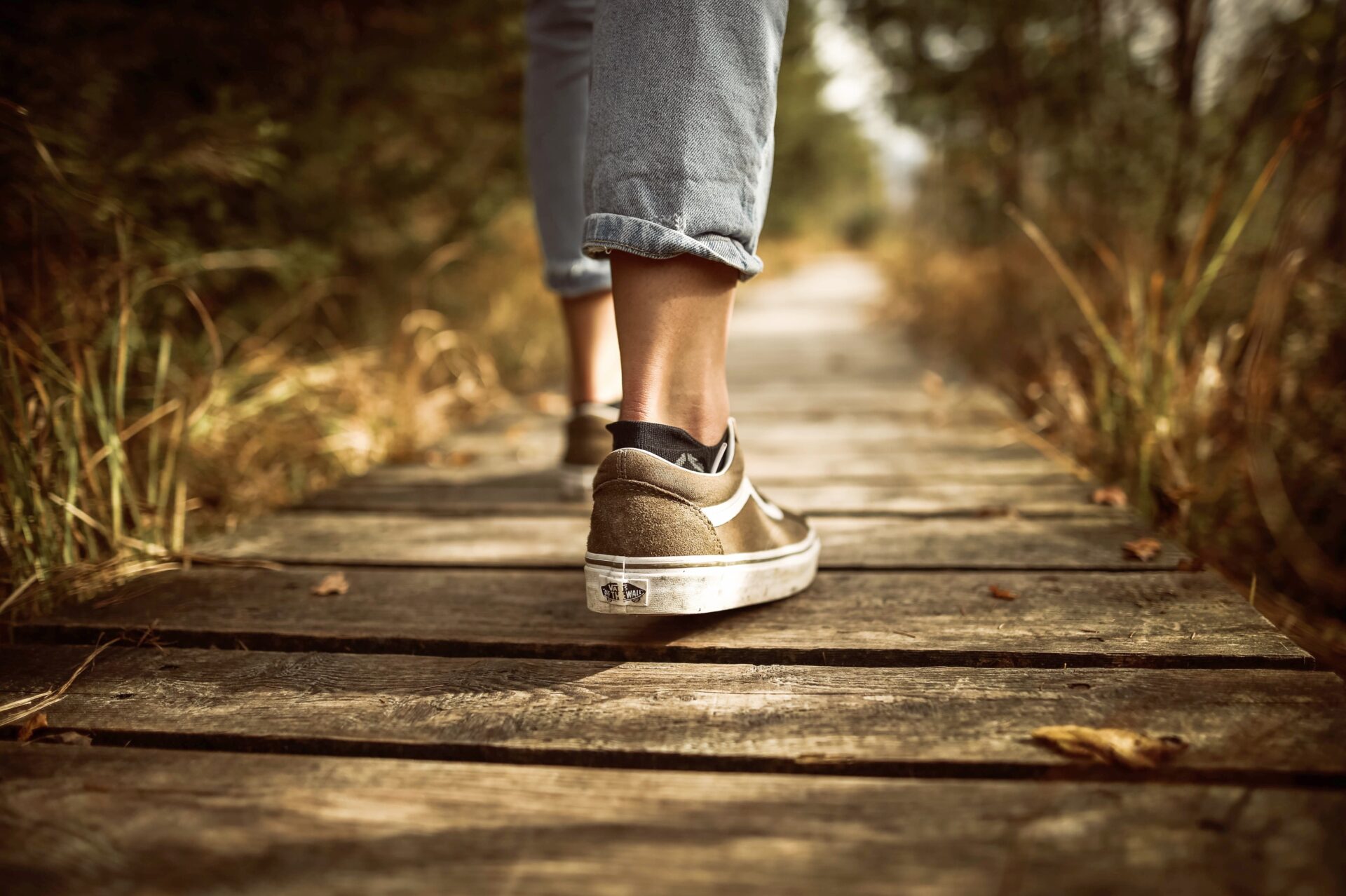 Steps on a path to becoming a dental hygienist